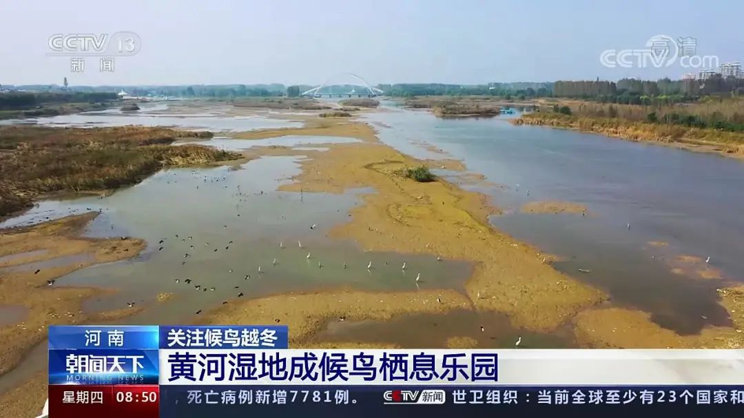 央视新闻频道播出《黄河湿地成候...